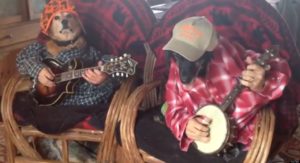 o-DOGS-BANJOS-facebook